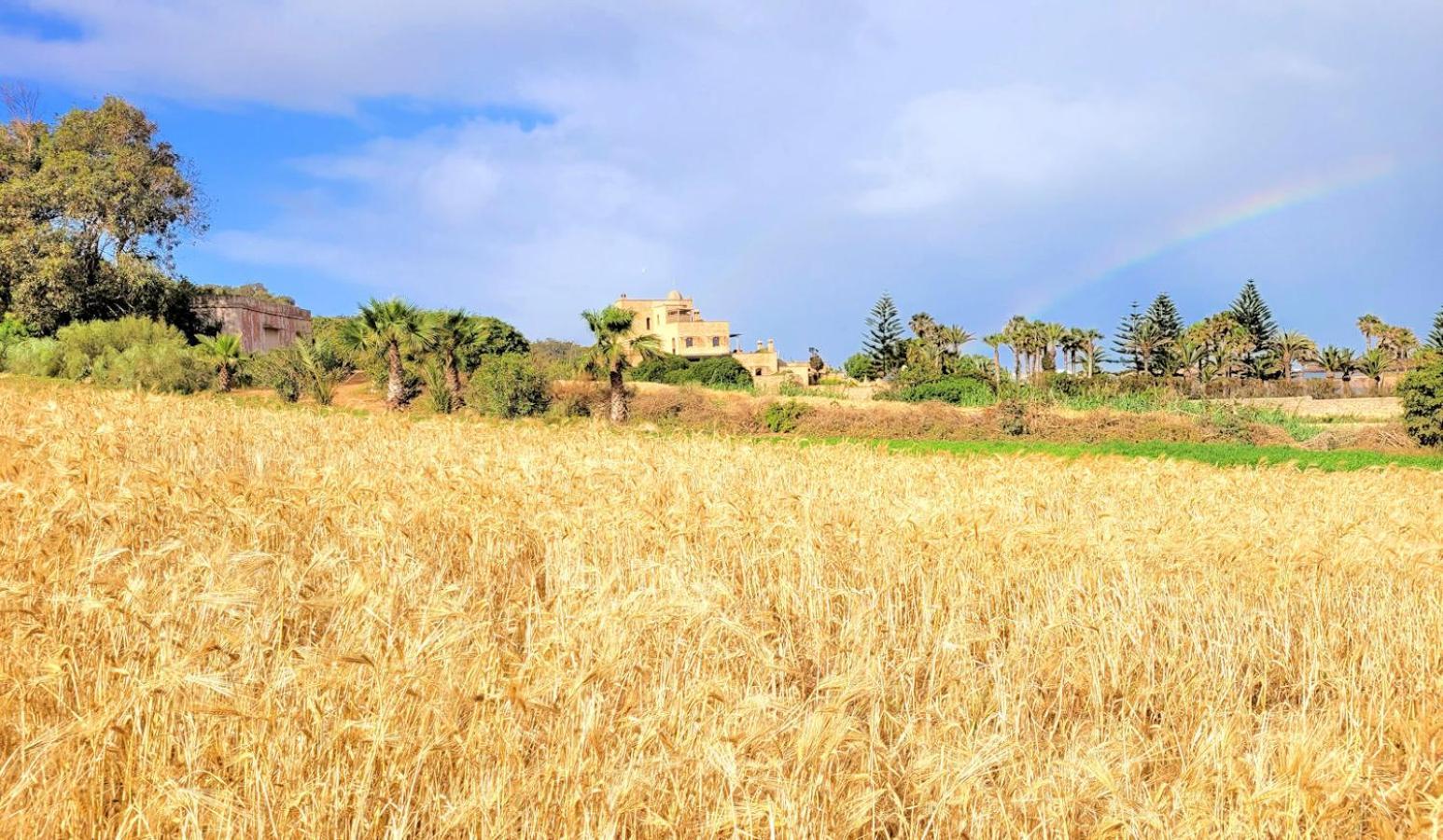 Maison De La Lagune Oualidia Ruang foto